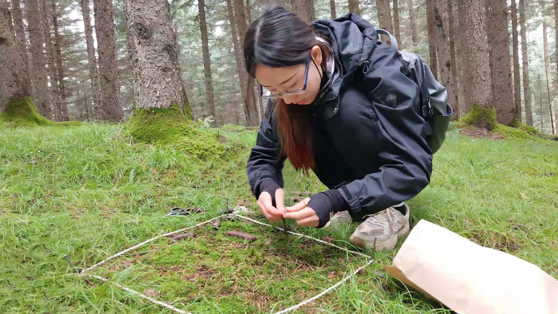 点击此处上传个人照片