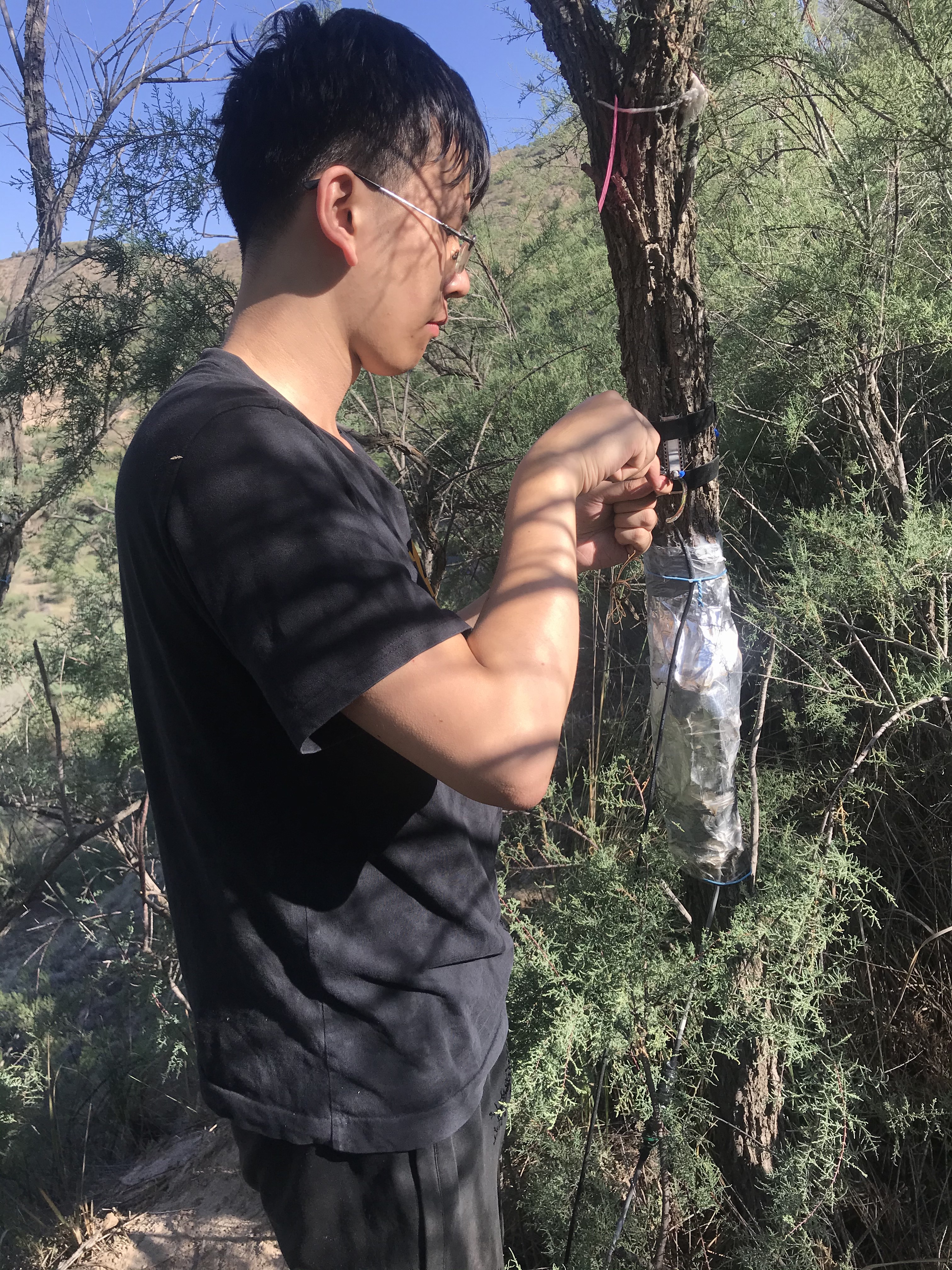 点击此处上传个人照片