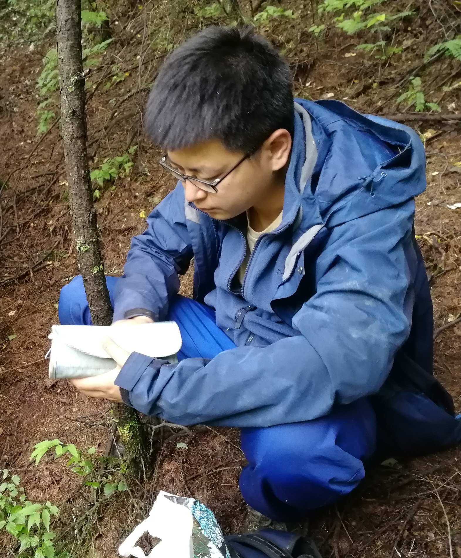 点击此处上传个人照片