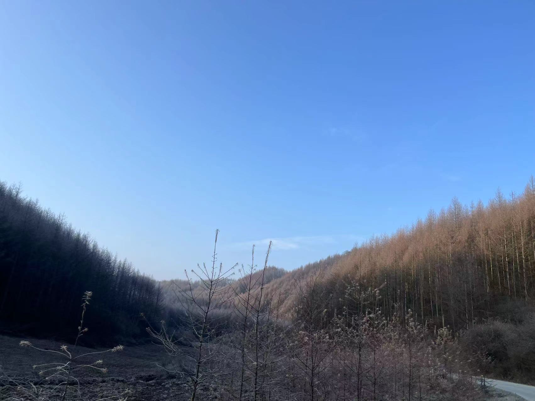 点击此处上传个人照片
