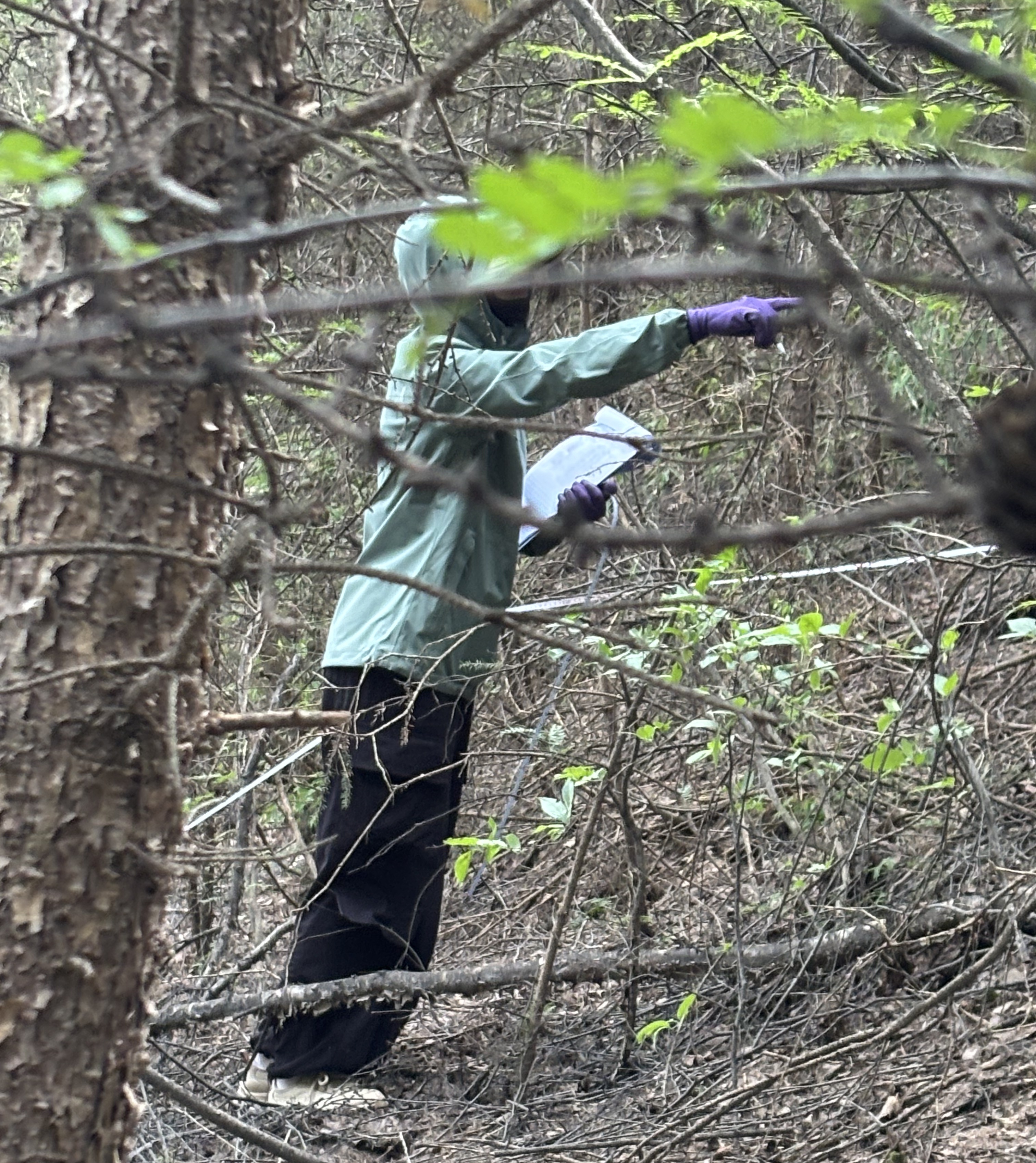 点击此处上传个人照片